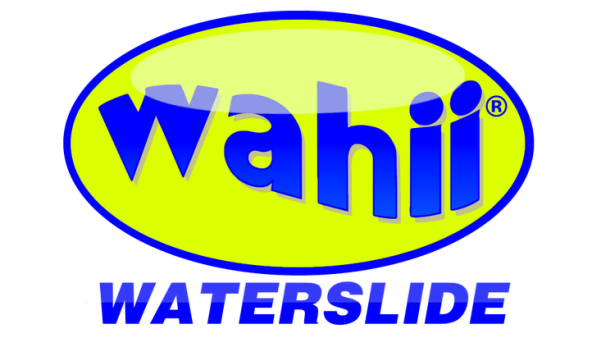 Wahii Shiny Logo PNG  shiny