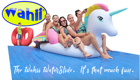 Wahii 5 ladies unicorn inflatable
